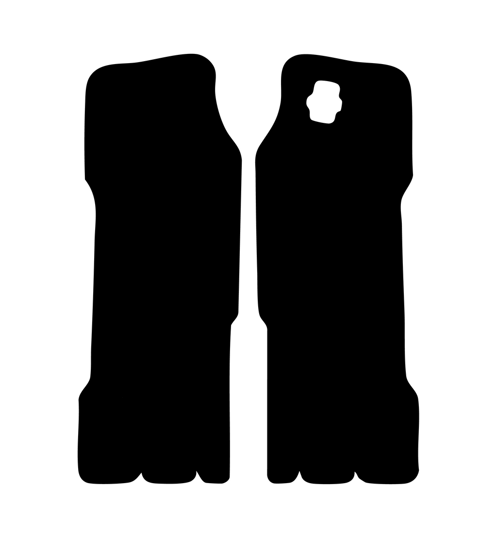 Front Fork decal